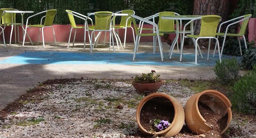Hostal Aravaca Garden Madri Exterior foto